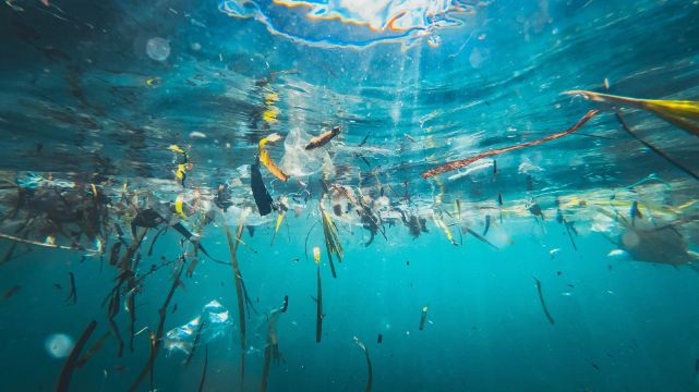 Wszechobecny mikroplastik – realne zagrożenie czy kolejna panika?