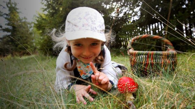 Ciemna łyżka, ciemna cebula. Mity o grzybach mogą kosztować życie